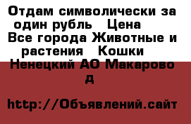 Отдам символически за один рубль › Цена ­ 1 - Все города Животные и растения » Кошки   . Ненецкий АО,Макарово д.